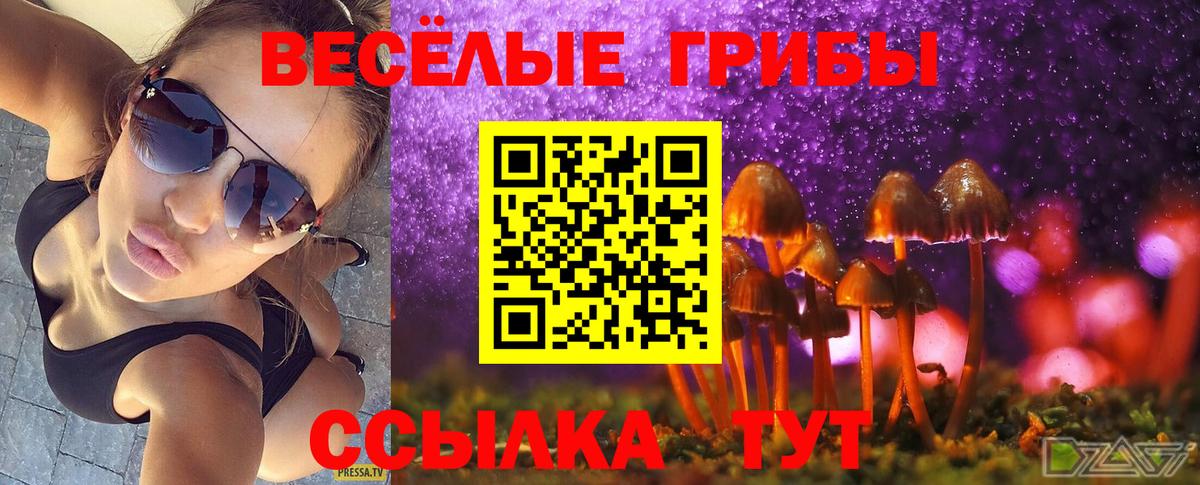 где можно купить наркотик  Псилоцибиновые грибы Psilocybine cubensis  Вход с VPN  Сунжа 